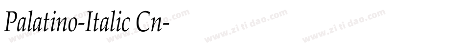 Palatino-Italic Cn字体转换